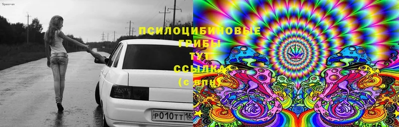 Псилоцибиновые грибы мицелий  Кохма 